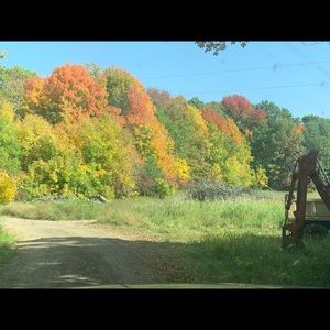 Meet your Posher, Dana